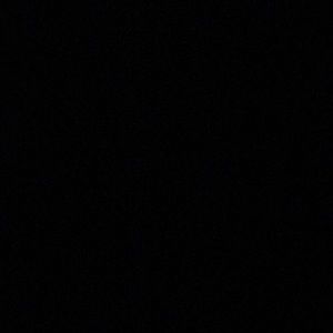 Meet your Posher, Shantel